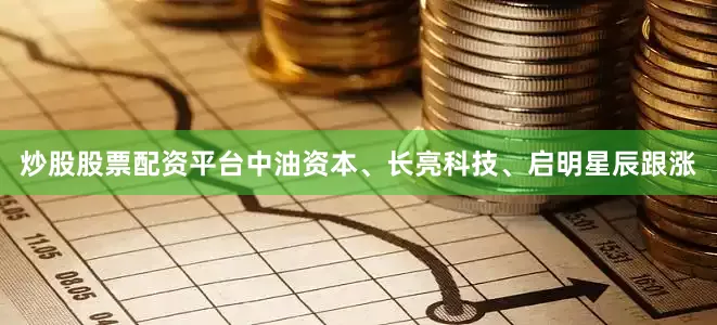 炒股股票配资平台中油资本、长亮科技、启明星辰跟涨