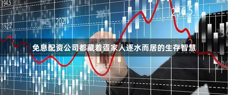 免息配资公司都藏着疍家人逐水而居的生存智慧