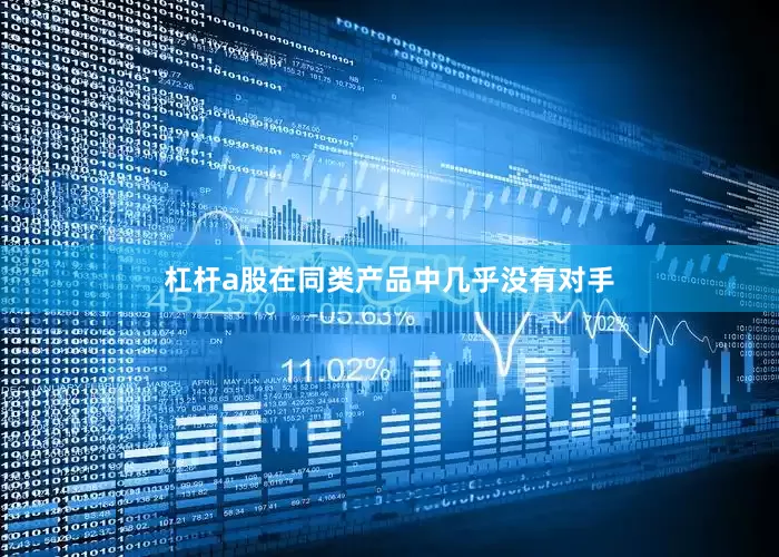 杠杆a股在同类产品中几乎没有对手
